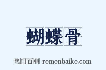 蝴蝶骨是什么意思的图片